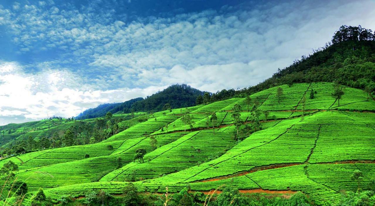 Gregory Hills Hotel Nuwara Eliya Eksteriør billede